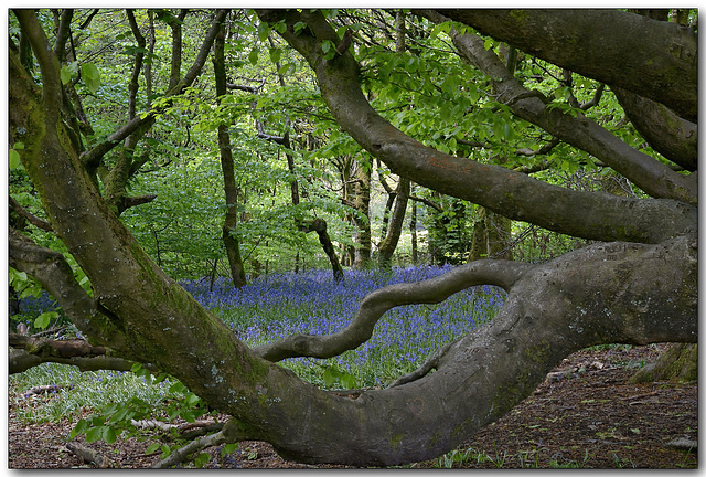 The hand of nature