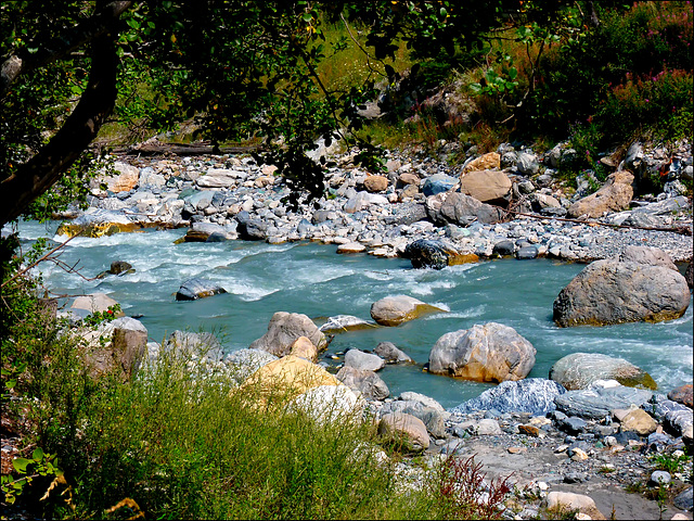 Val di Susa :  la Dora riparia