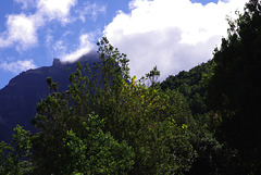 Le nuage s'endort sur la montagne