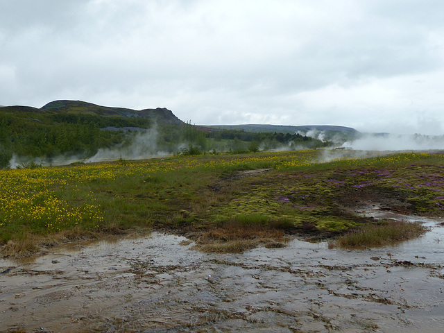 Geysir (1) - 18 June 2017