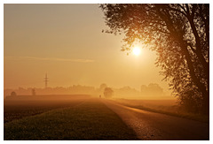 Der Radfahrer