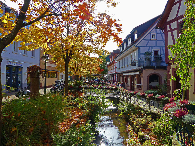 Wald-Michelbach