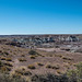 The Petrified Forest, 32Arizona