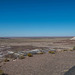 The Petrified forest, Arizona