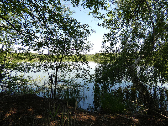 Charlottenhofer Weihergebiet