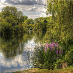 The Thames at Sonning