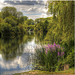 The Thames at Sonning