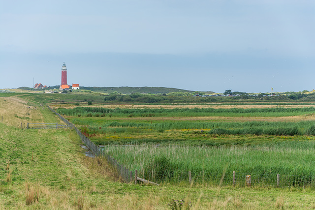 Leuchtturm Texel