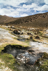 Geiseres de Sajama (Termas Huallaqueri)