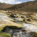 Geiseres de Sajama (Termas Huallaqueri)