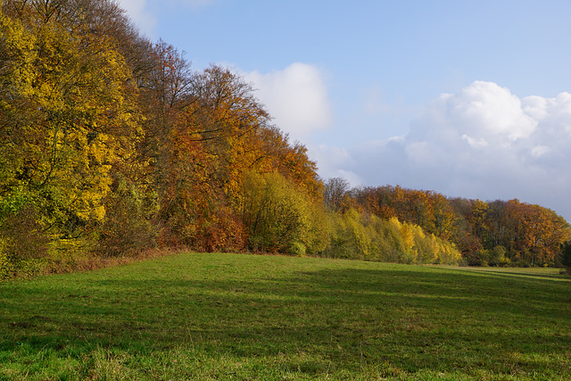 Herbstlicher November III