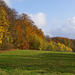 Herbstlicher November III