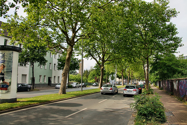 Kohlenstraße (Bochum) / 15.06.2020