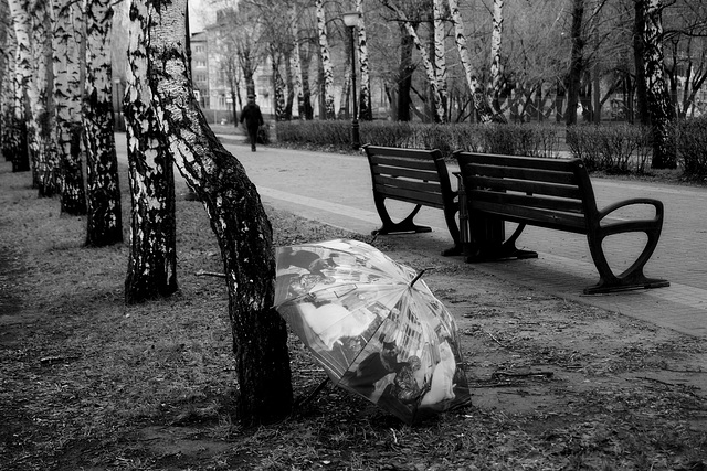 Black cat, White Cat Black cat, White Cat