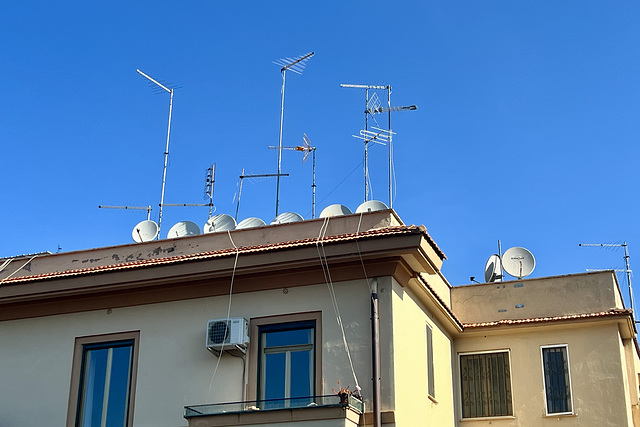 Rome 2025 – Antennæ