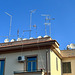 Rome 2025 – Antennæ