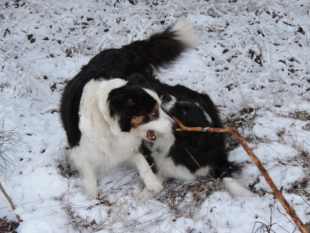 Wir lieben den Winter...