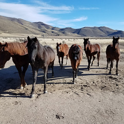 20180206 150257 001 20180206 150257 001