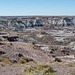 The Petrified forest,,1 Arizona