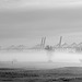 Mist at the Docks   /   Nov 2020