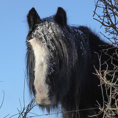 It was -12.9°C last night