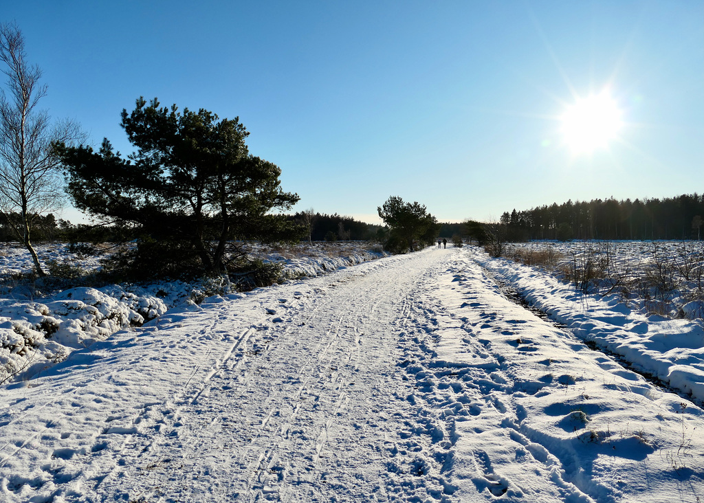 Verschneite Küstenheide