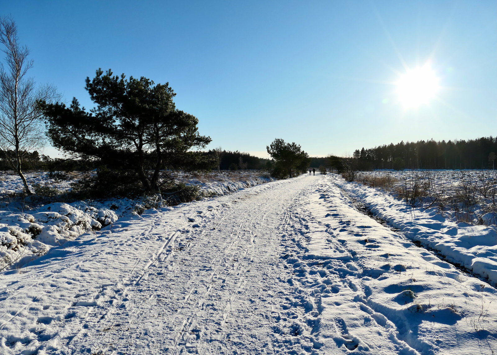 Verschneite Küstenheide