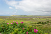 Texel, Slufterduin