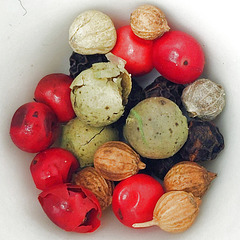 Gewürzkörner Gewürzkörner