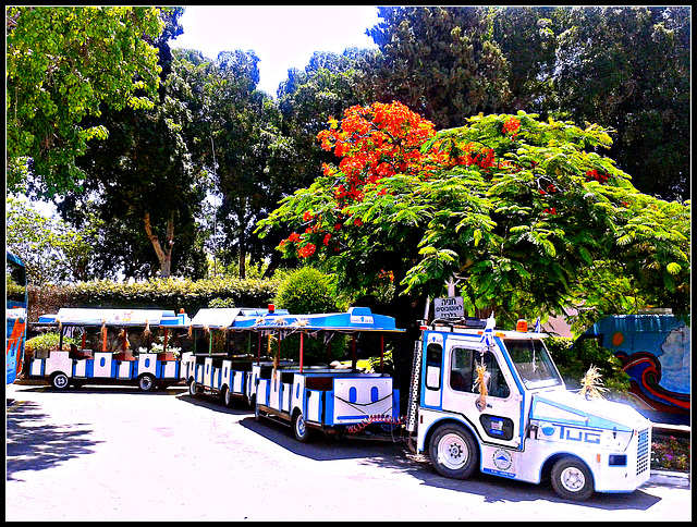 Kibut Ein Gevi (Israel)