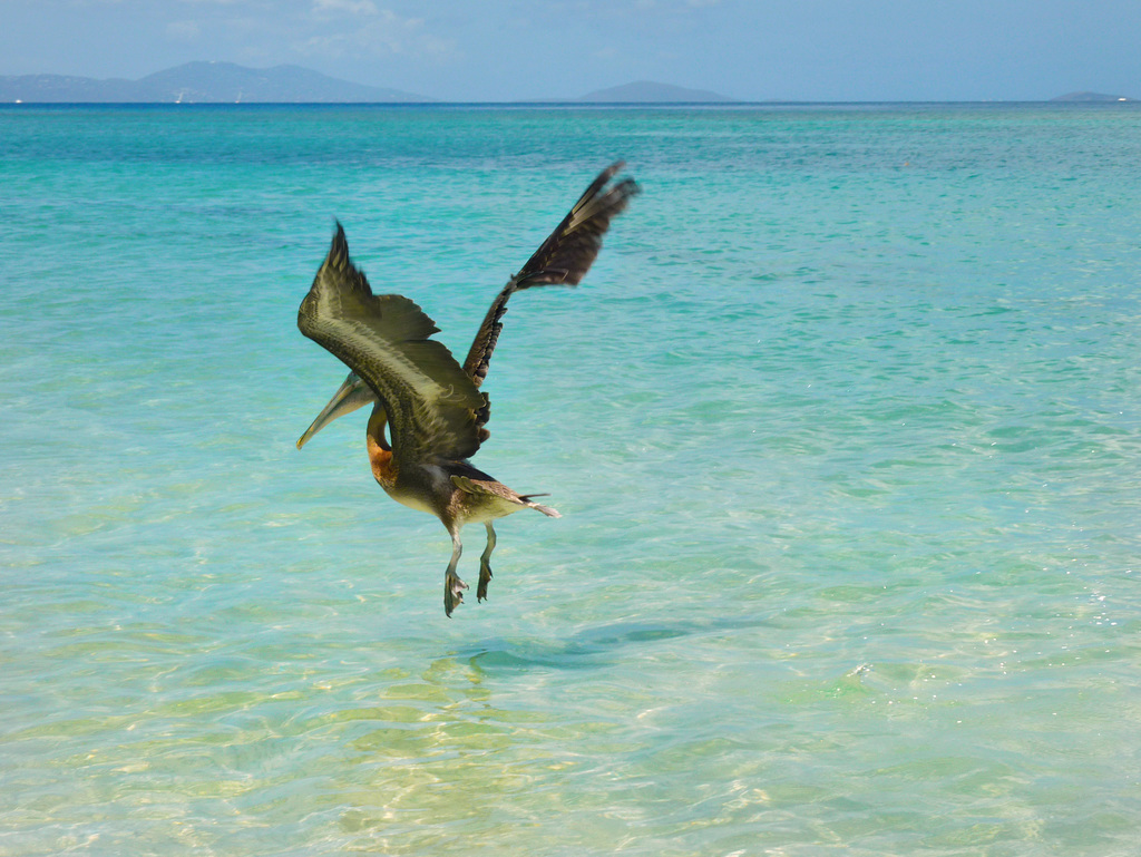 Un tuffo nel blu