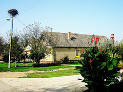 Lamppost with stork nest