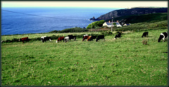 Treen Farm, Gurnard's Head, Zennor