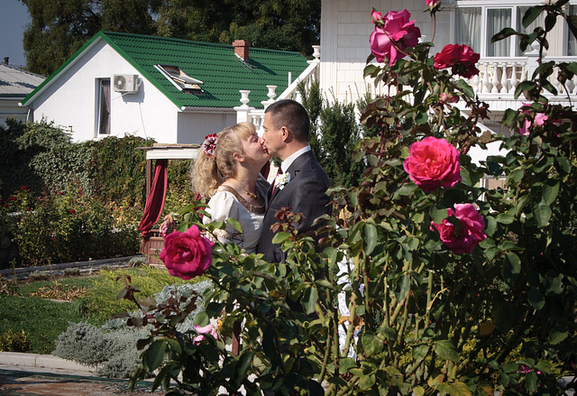 Smooching in the rose garden