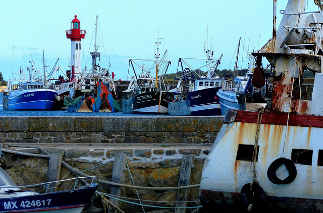 ... cohue maritime ... ... cohue maritime ...