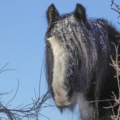 It was -12.9°C last night