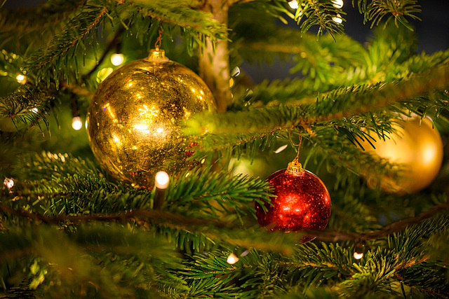 Christmas Christmas