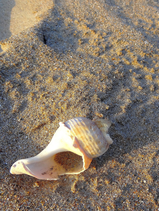 ... seul sur le sable ...