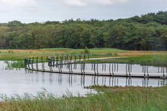 Texel, Radweg