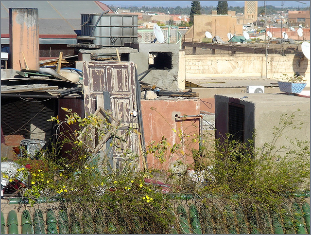 Roofs of Marrakesh