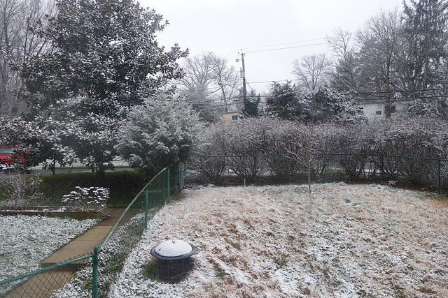 Snow in the front yard