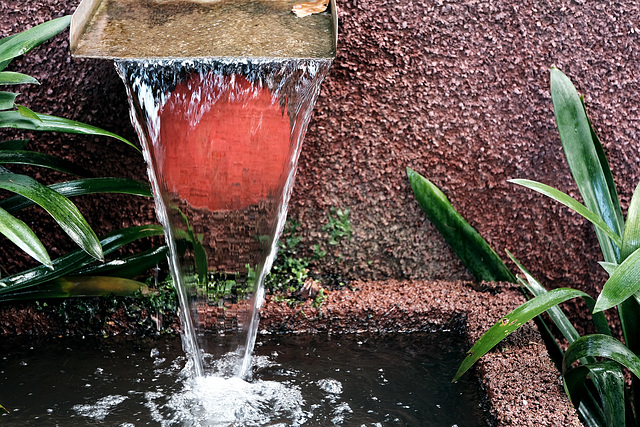 Madeira Funchal May 2016 Xpro2 Touit 50mm Monte Botanical Gardens 9