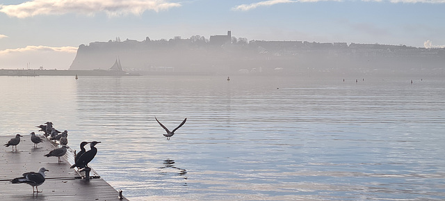 Cardiff Bay Fog