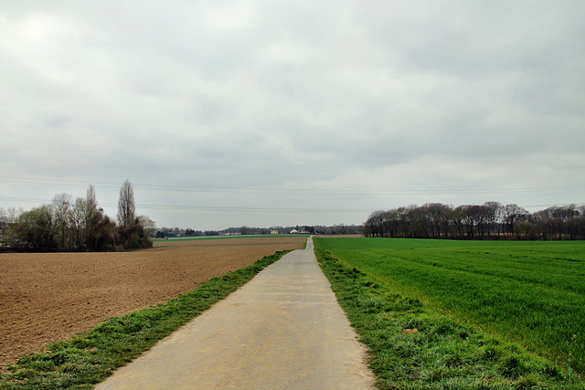 Auf der Wenge (Dortmund-Kirchderne) / 4.04.2021