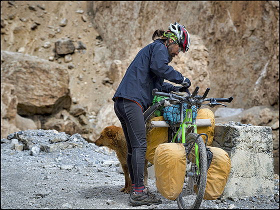 Le cycliste et le chien des hautes cimes