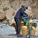Le cycliste et le chien des hautes cimes