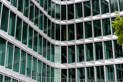 _DSC2800