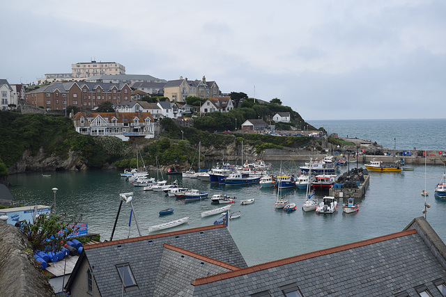 Newquay Harbour