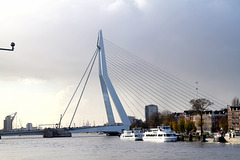 Rotterdam