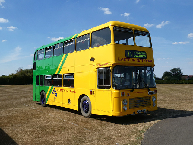 Stonham Barns 'The Big Bus Show' - 14 Aug 2022 (P1130027)